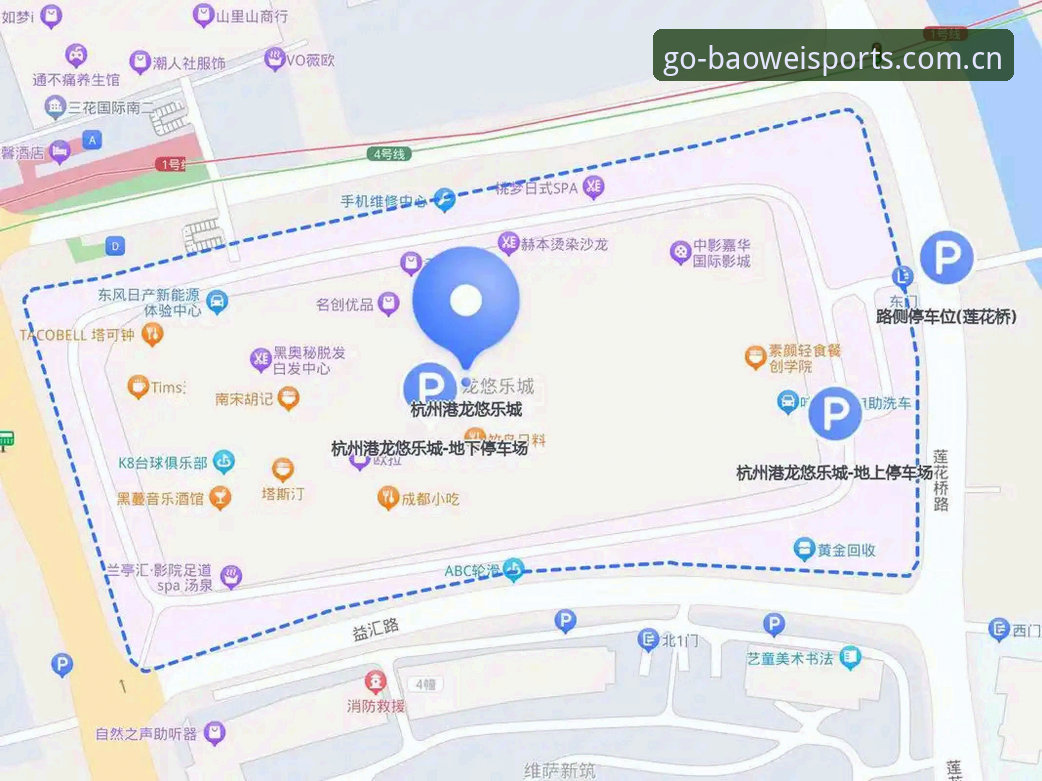 宝威体育BVTY中文入口 vs 普通体育平台：哪个更适合你的观赛需求？